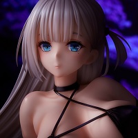 翔鶴 疾翔の姉羽