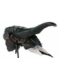 アーティスティックモンスターズコレクション Vol.036 飛行形態ガメラ3