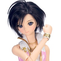 DD ドルフィードリーム 菊地真