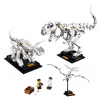LEGO 21320 恐竜の化石
