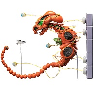 figma ドブケラドプス