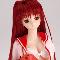 ドルフィードリーム 向坂環