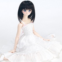 DD ドルフィードリーム 未来 Memorial Edition